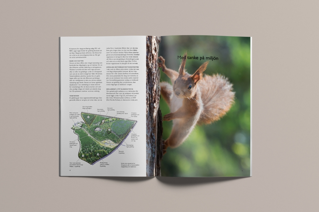 Skogens gödsling – broschyr grafisk form, uppslag